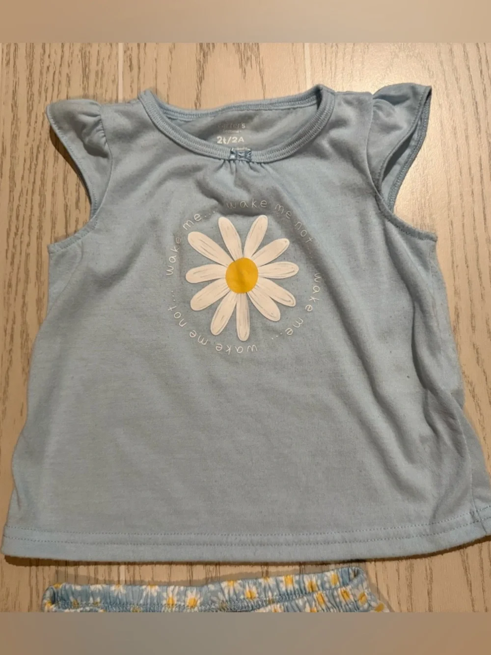 Carter’s Girls 2T Daisy Floral Pajama‎ Set Blue 2PC Sleepwear Lounge